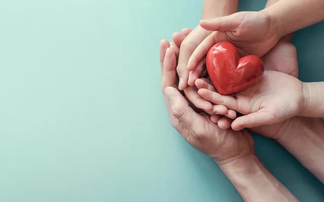 Sigortada Provizyon Ne Demek? Nasıl Alınır?